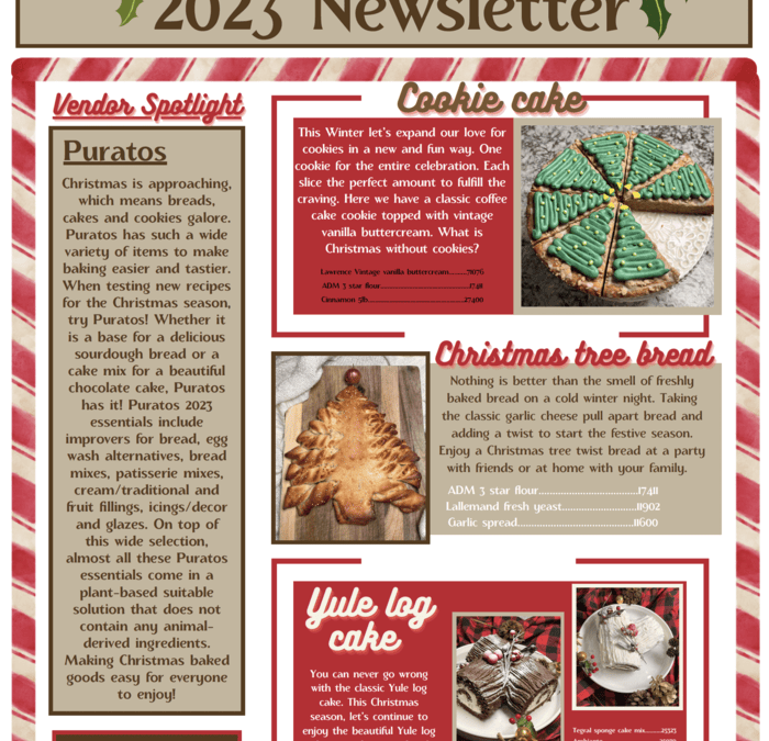 Winter Christmas Newsletter